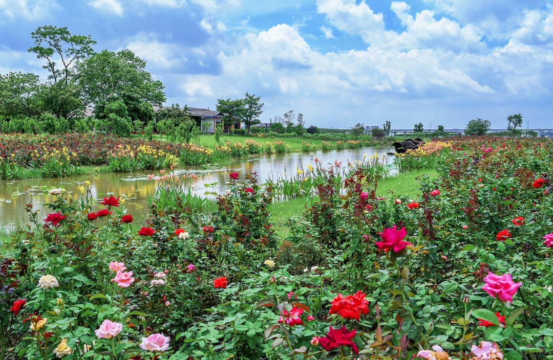 南海狮山拾贰季生态岛