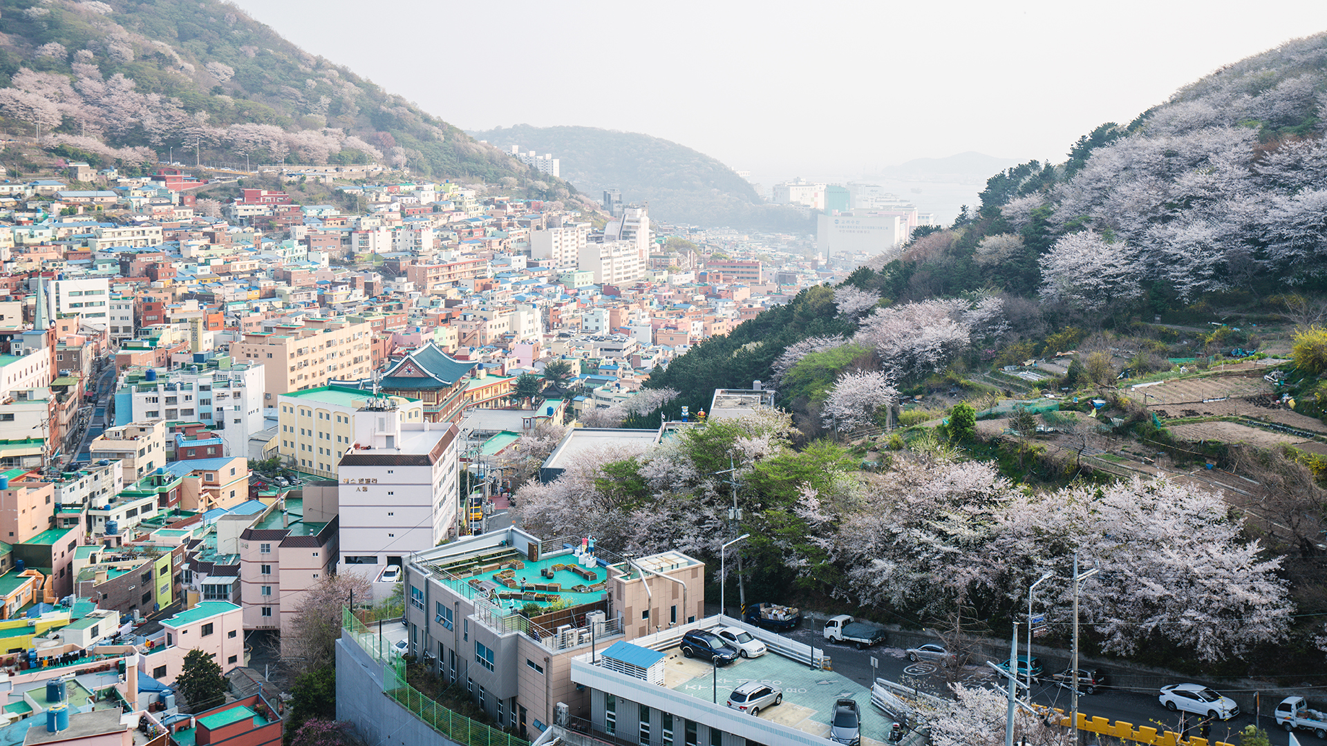 釜山自助遊攻略