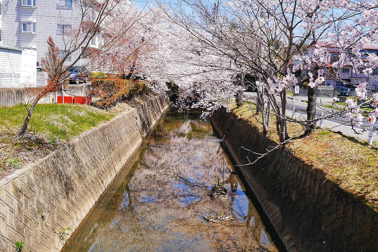 福島市自助遊攻略