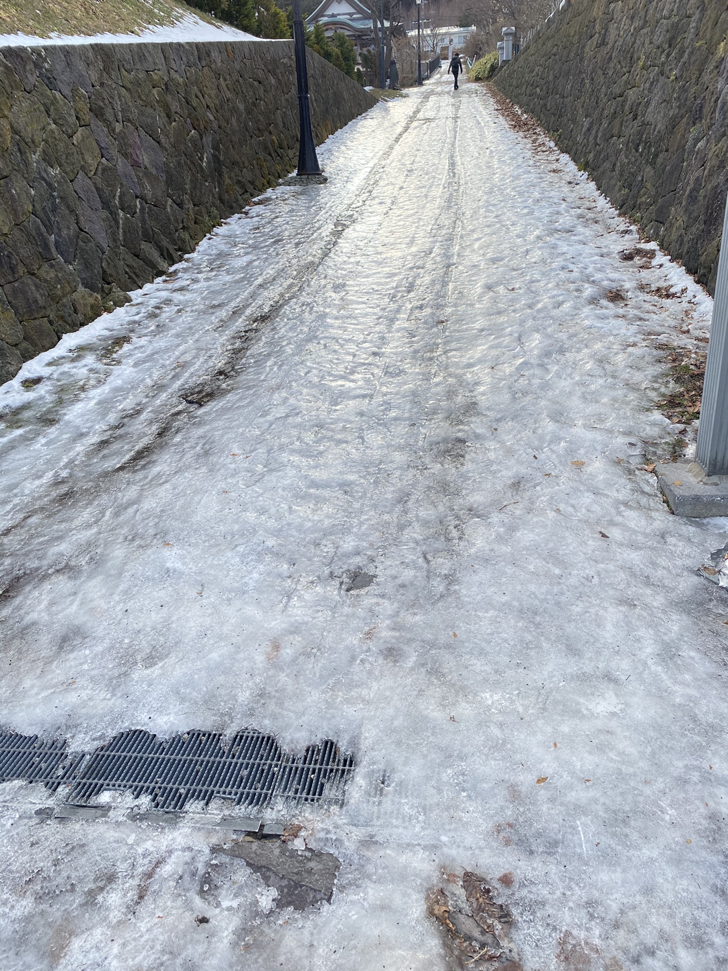 北海道自助遊攻略