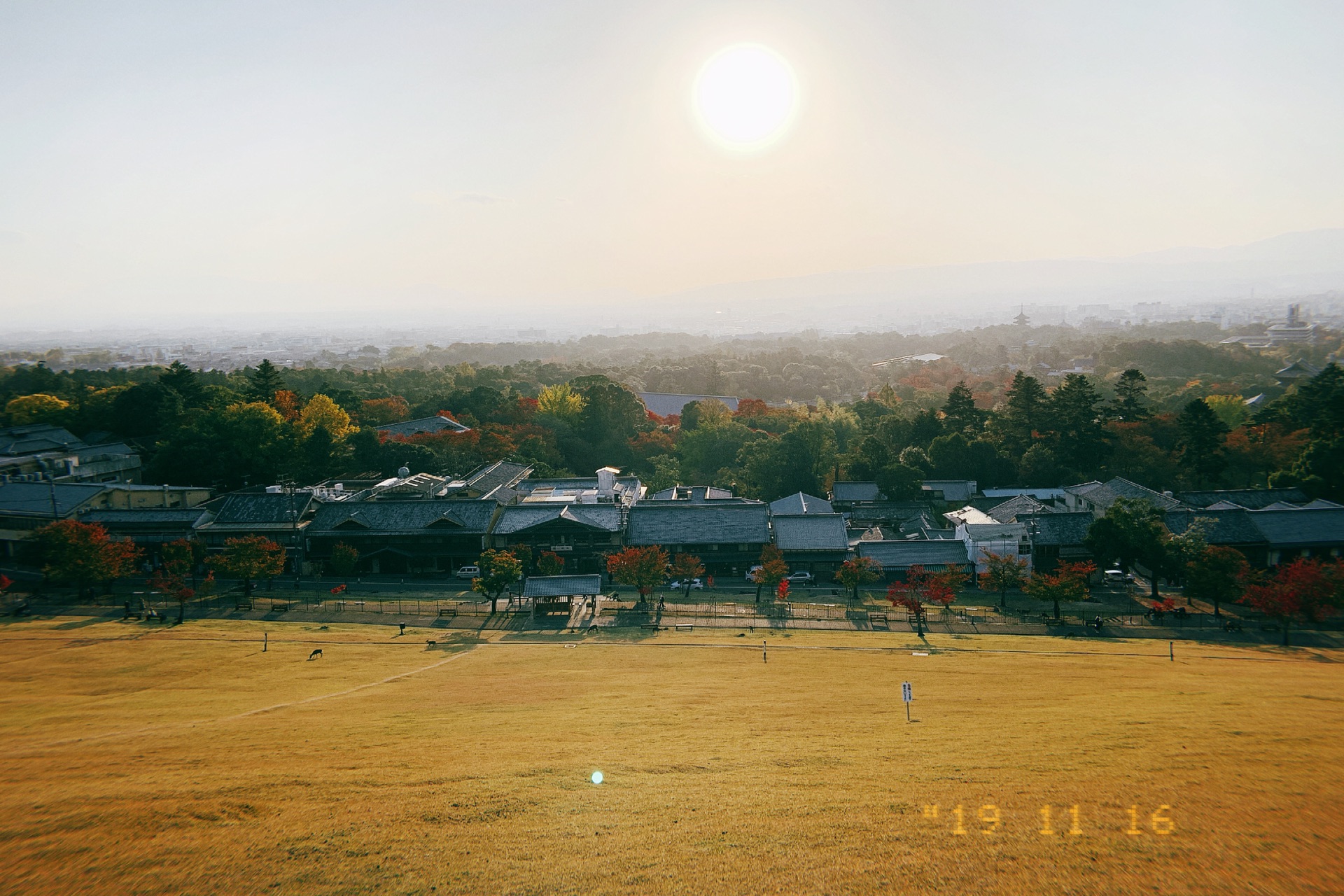 京都自助遊攻略