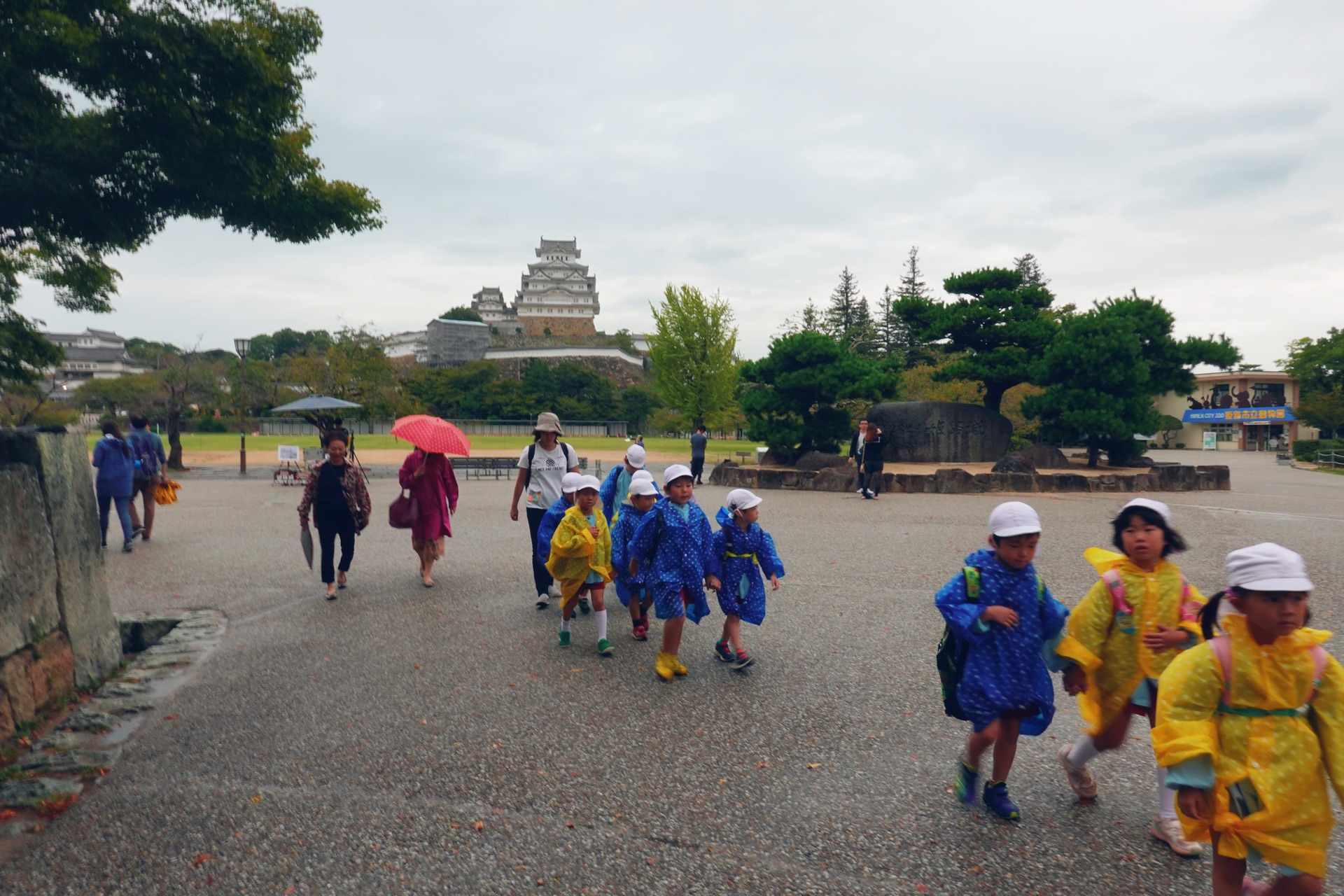 京都自助遊攻略