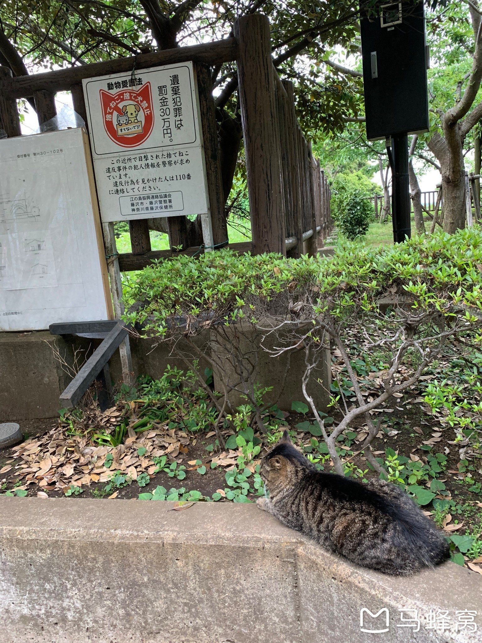 東京自助遊攻略