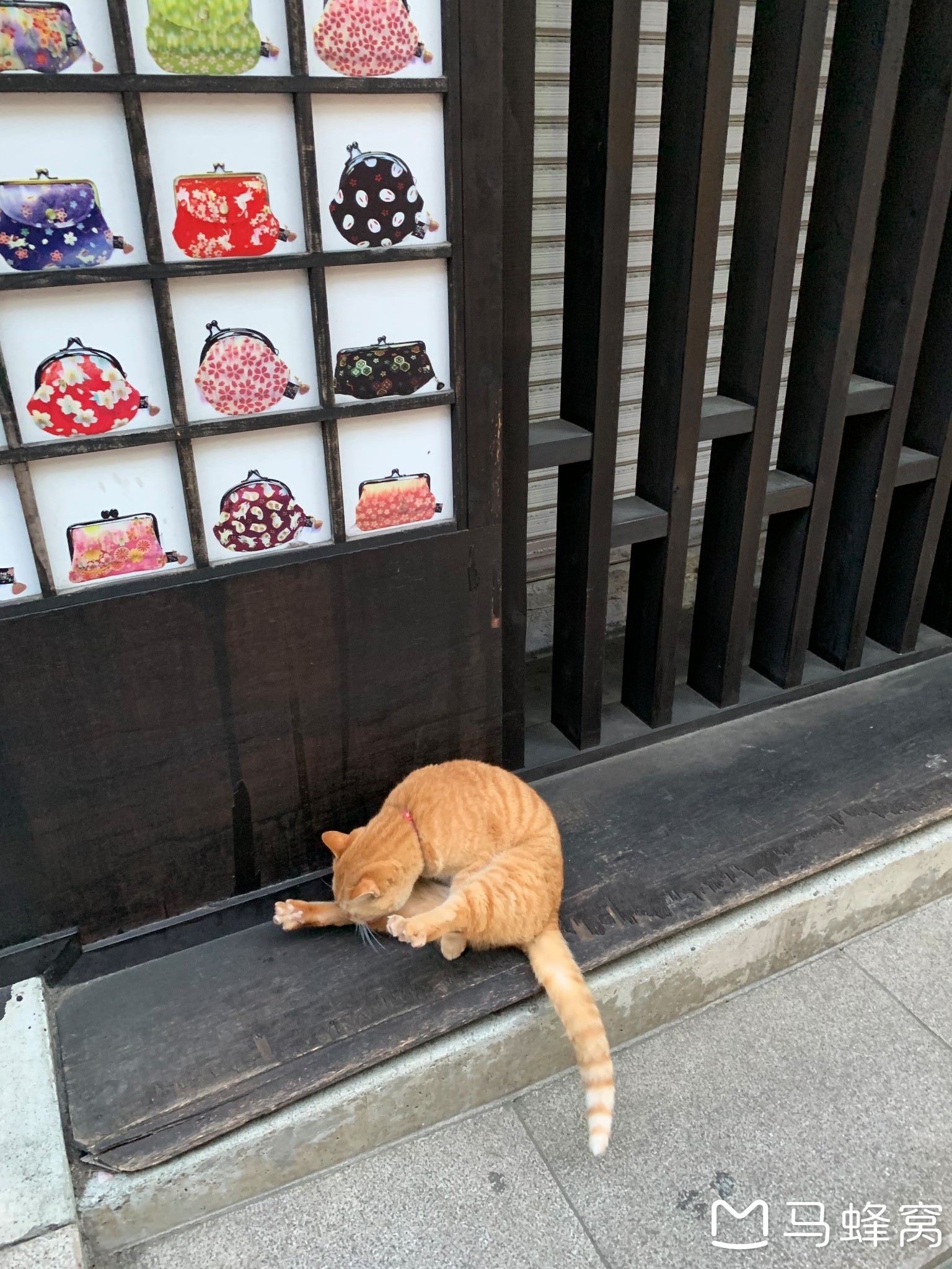 東京自助遊攻略