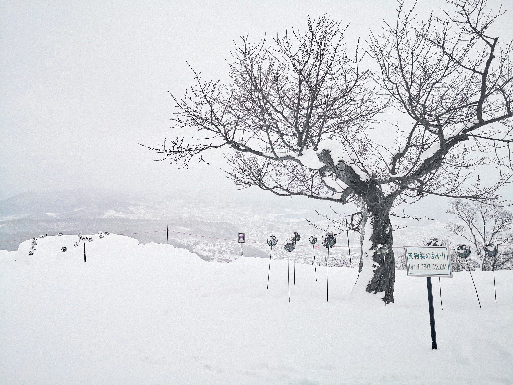 北海道自助遊攻略