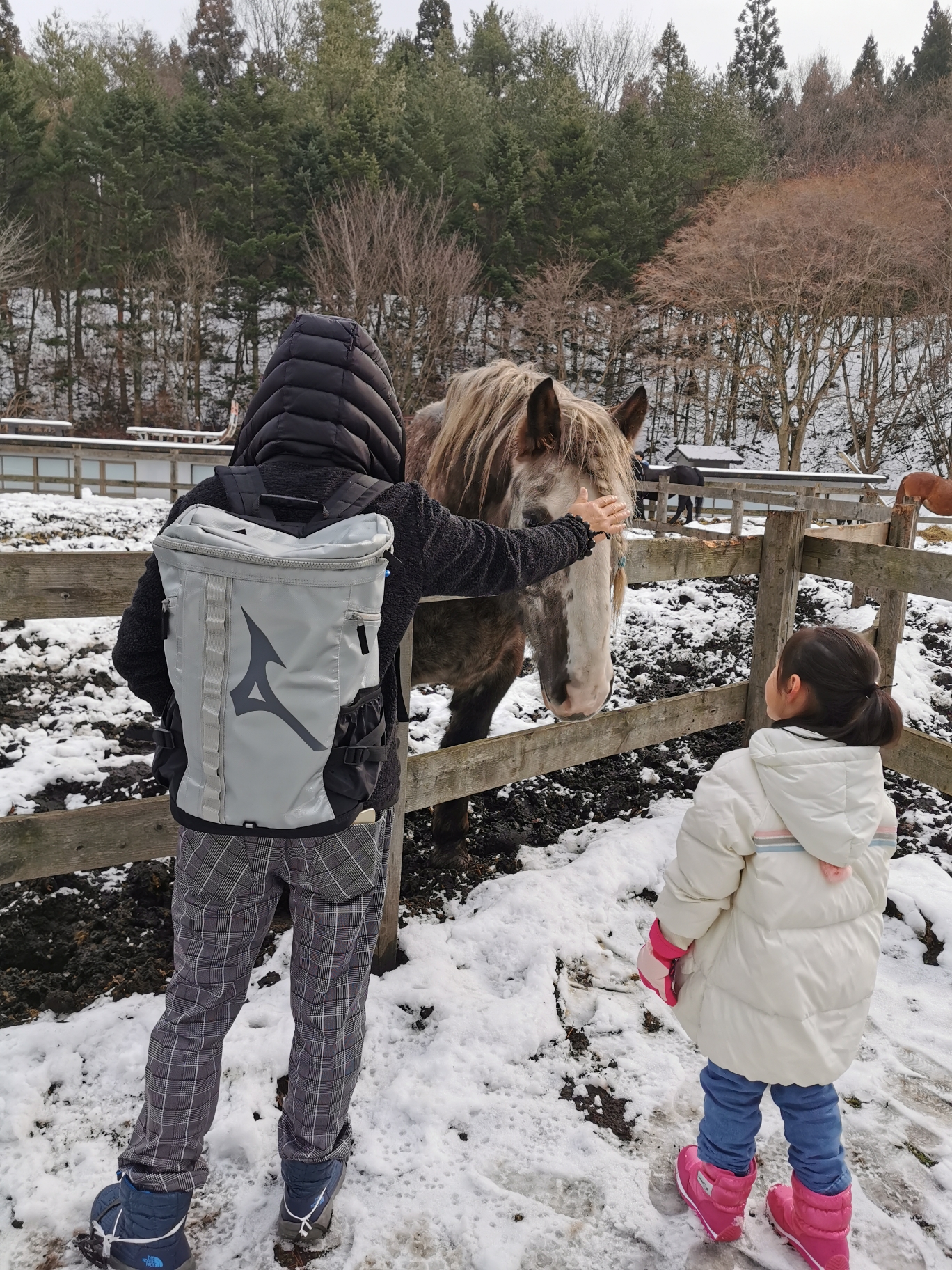 青森縣自助遊攻略