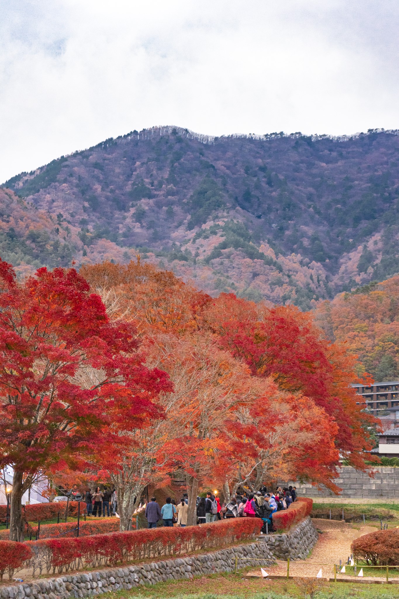 富士山自助遊攻略