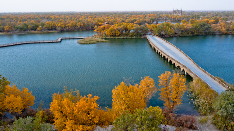 新疆巴楚红海湾胡杨林景区,巴楚旅游攻略 - 马蜂窝