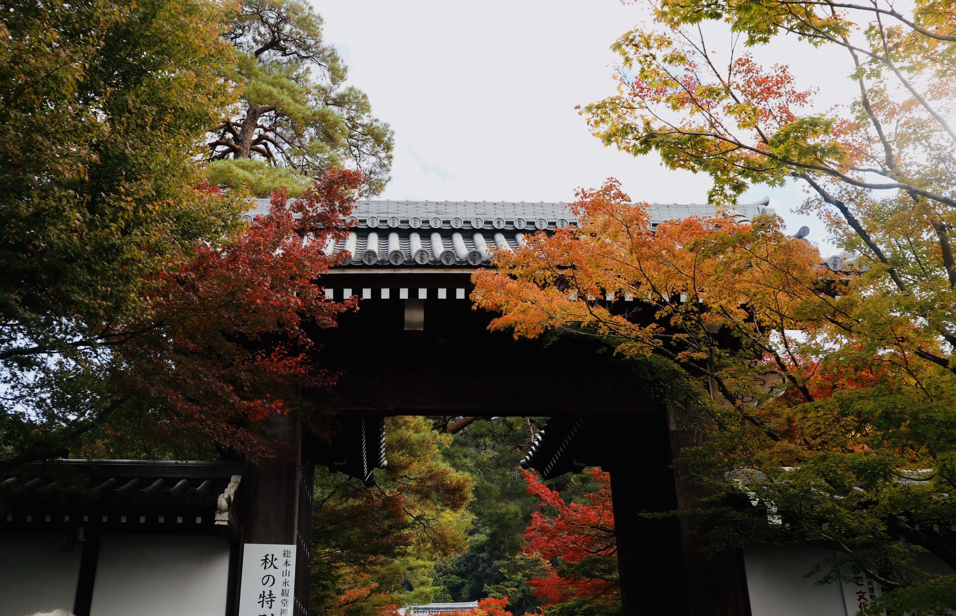 京都自助遊攻略