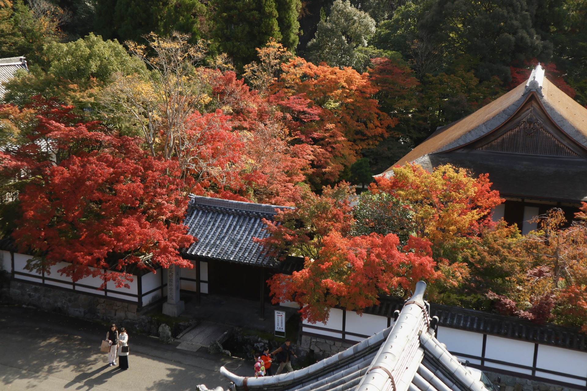 京都自助遊攻略