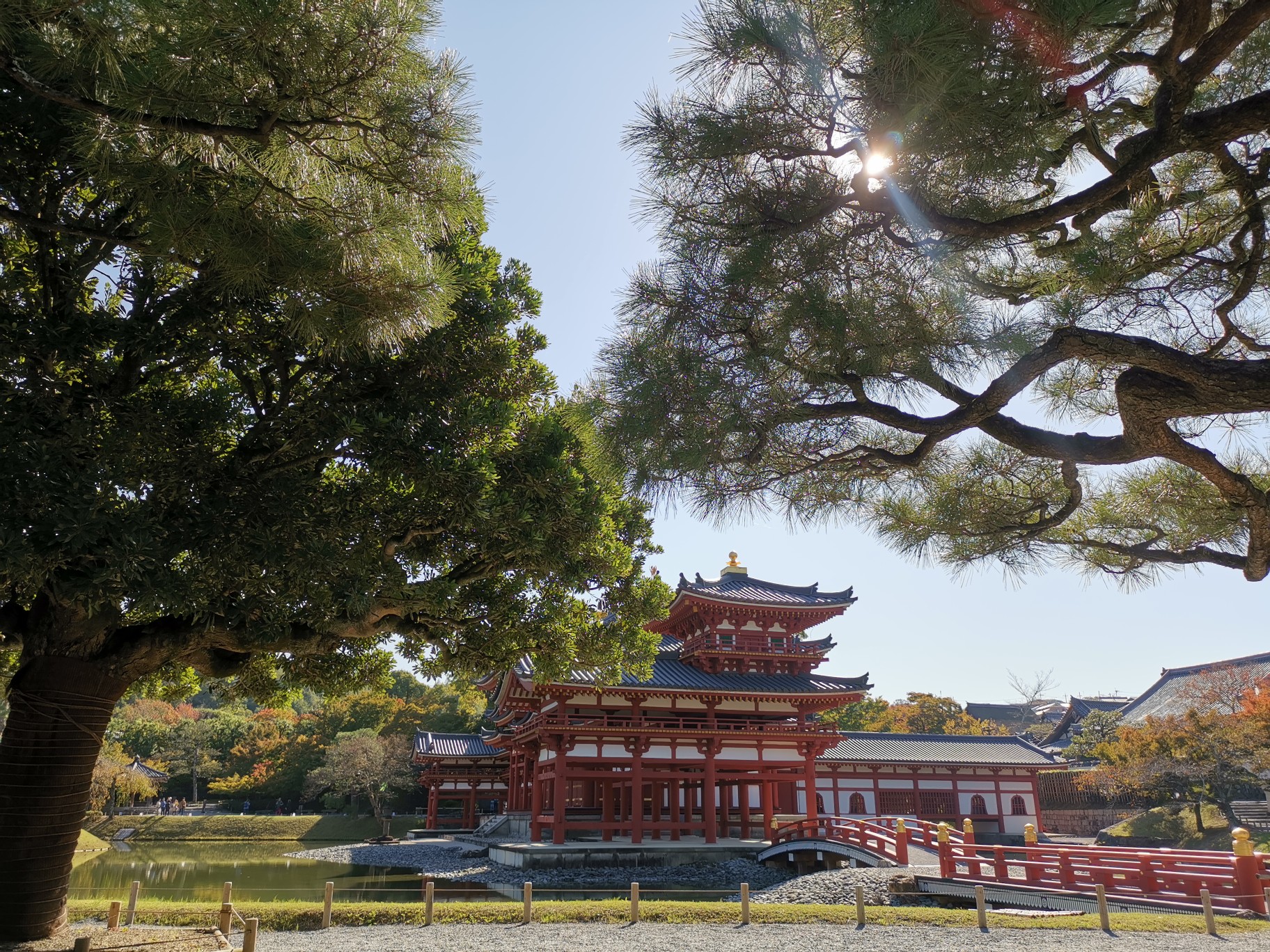 京都自助遊攻略