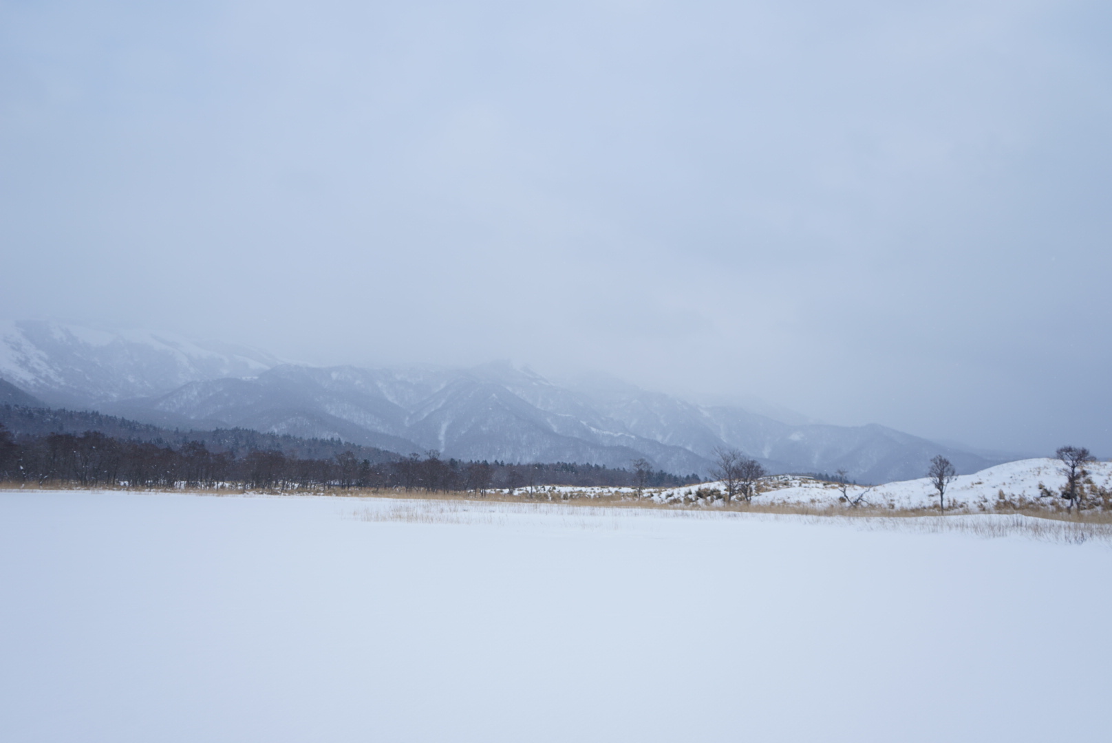 北海道自助遊攻略