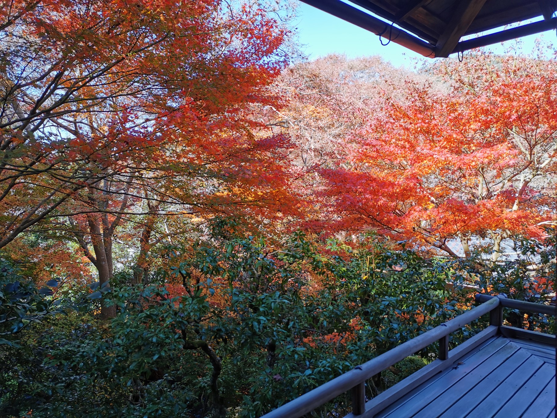 京都自助遊攻略