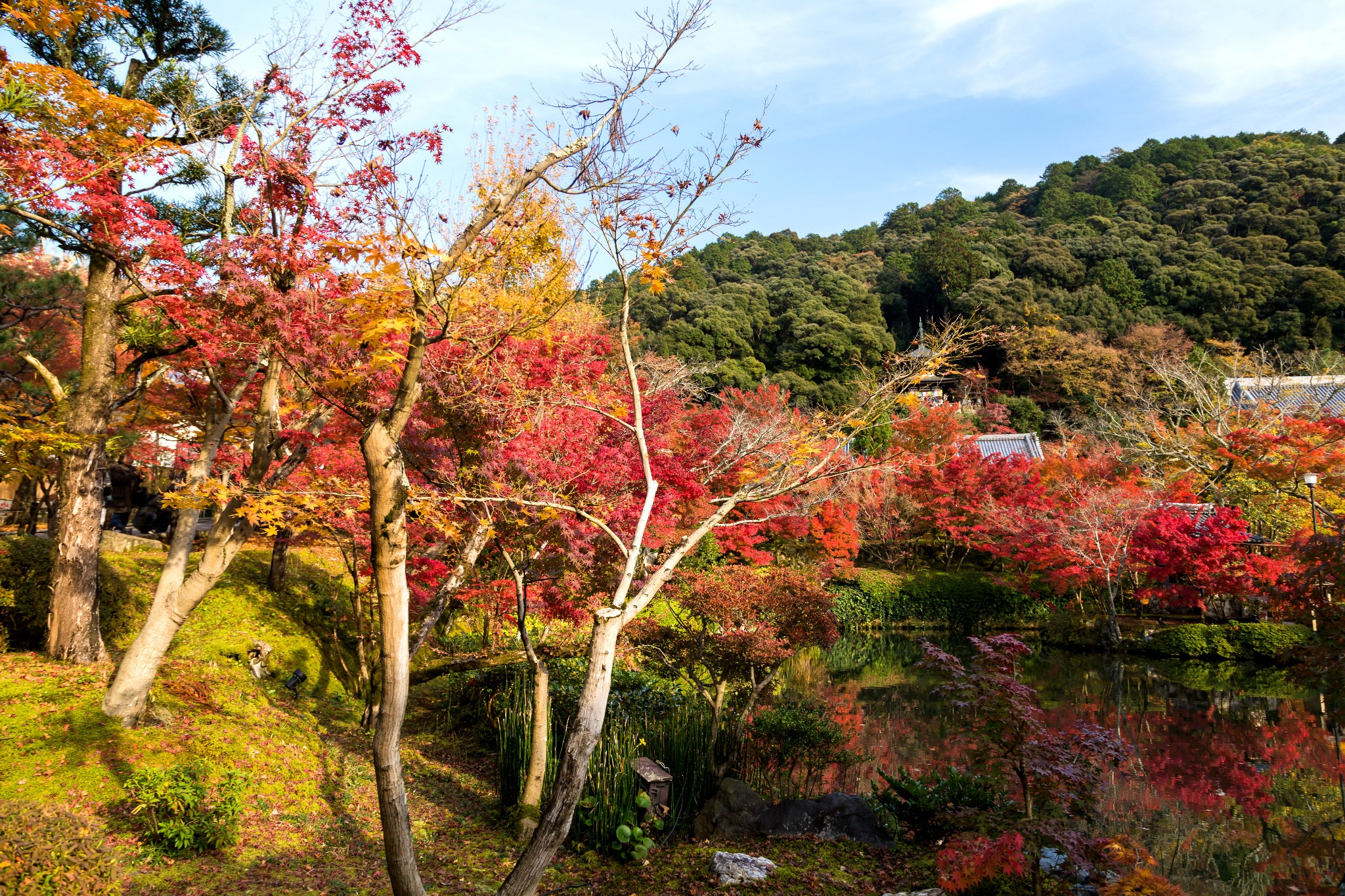 京都自助遊攻略