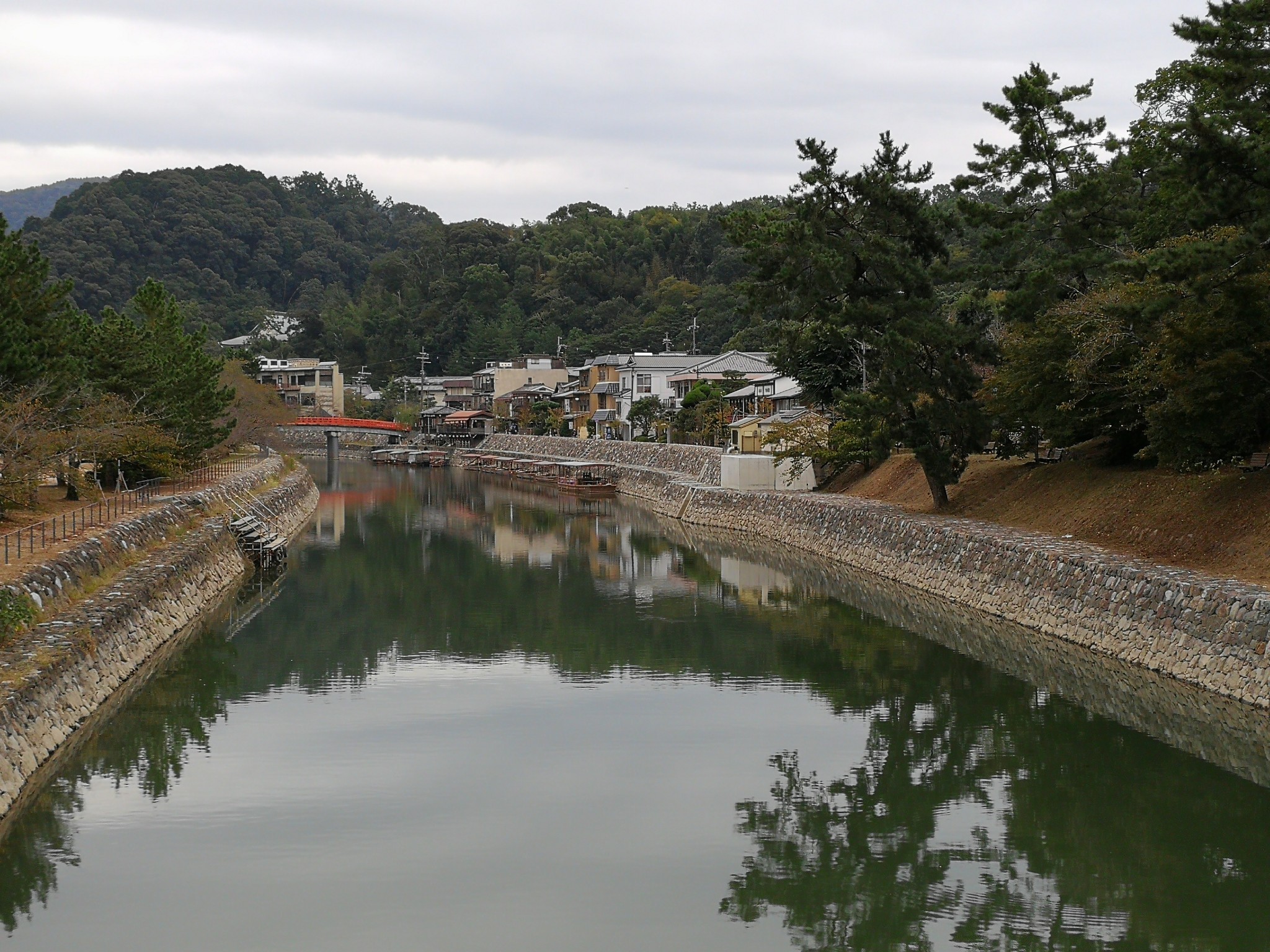 京都自助遊攻略