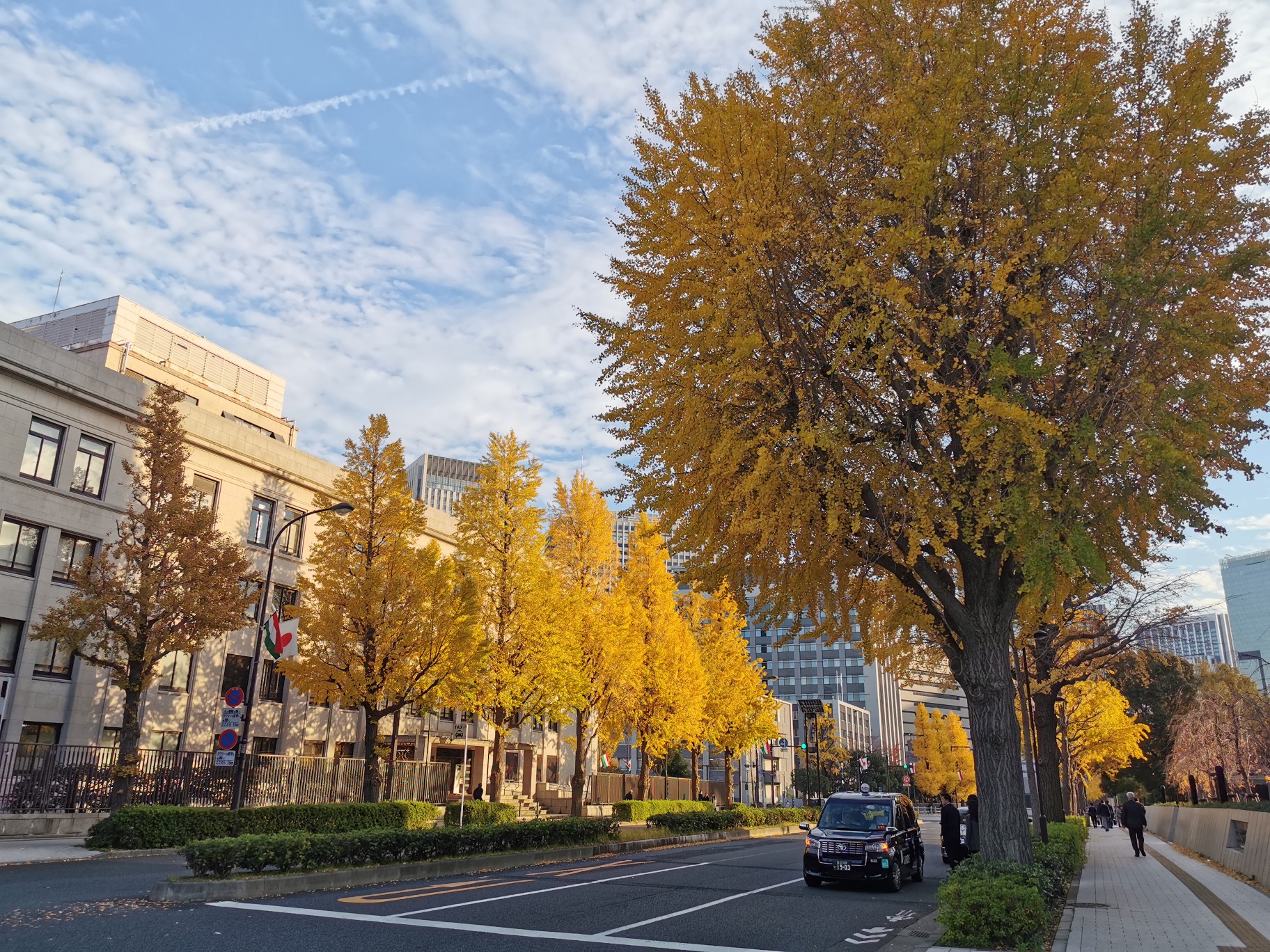 東京自助遊攻略