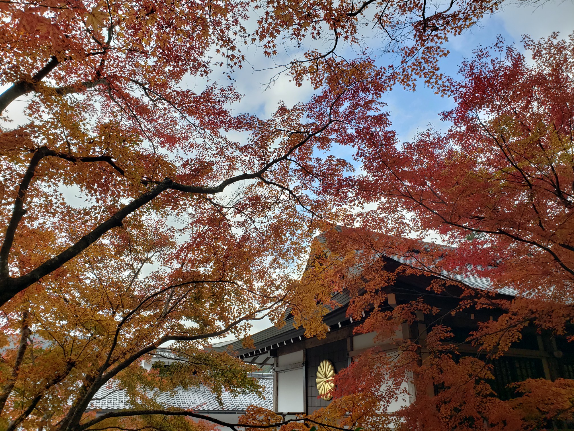 京都自助遊攻略