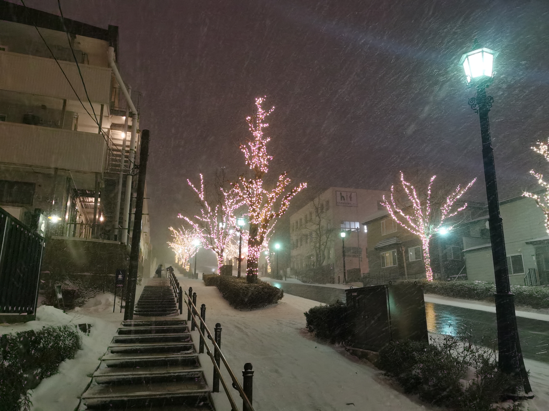 北海道自助遊攻略