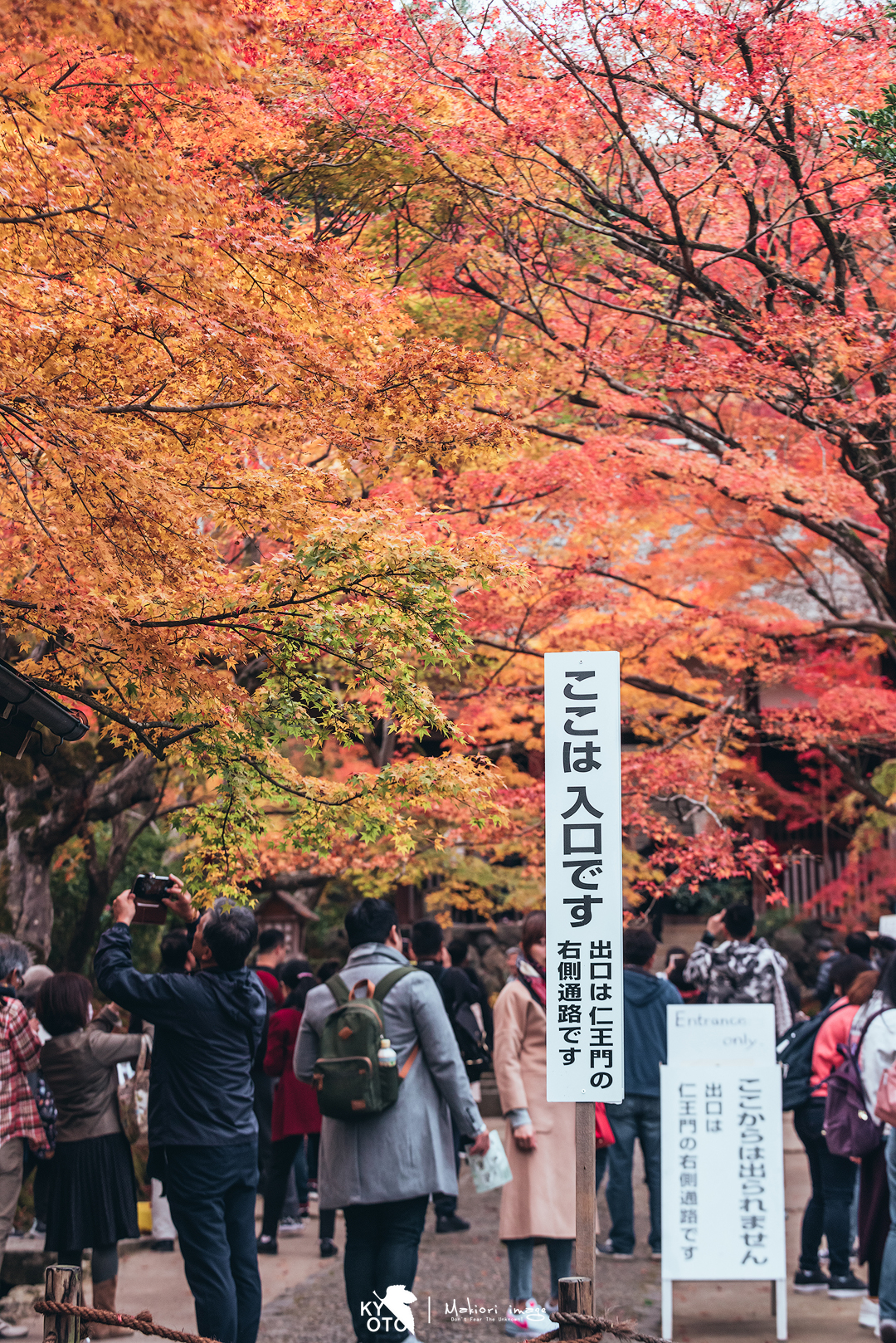 京都自助遊攻略