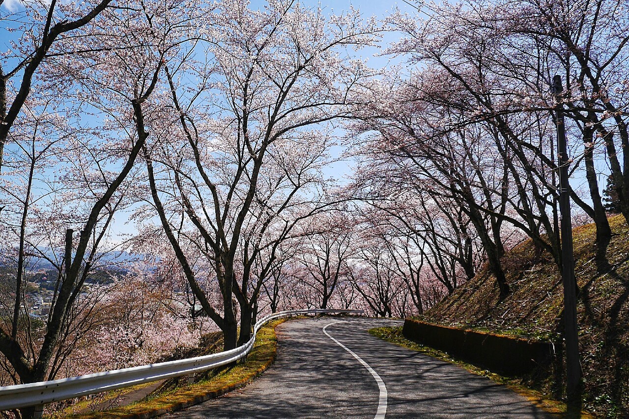 福島市自助遊攻略