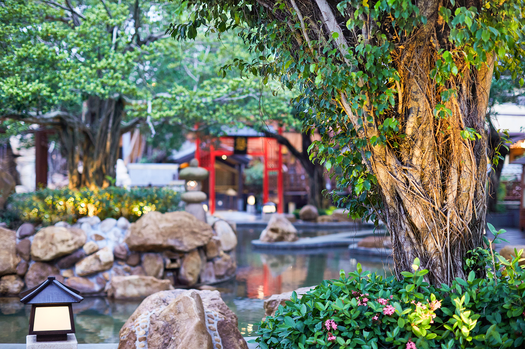 珠海御温泉 | 不得不去的度假村