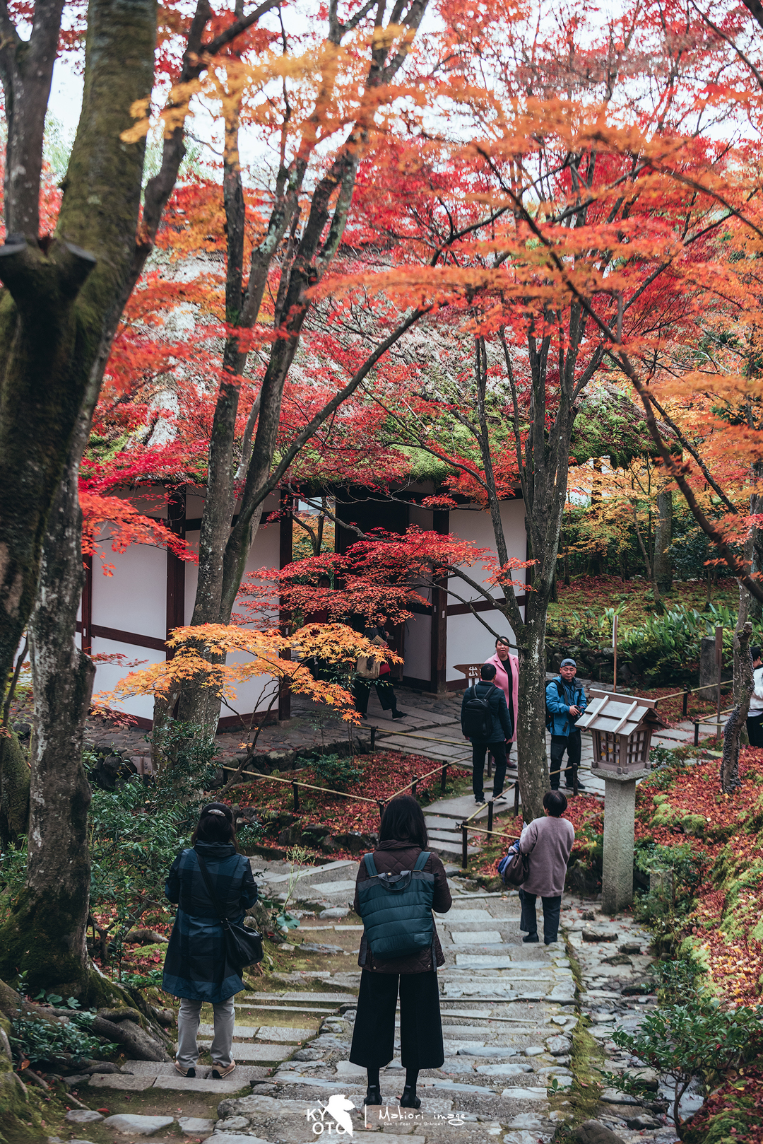 京都自助遊攻略