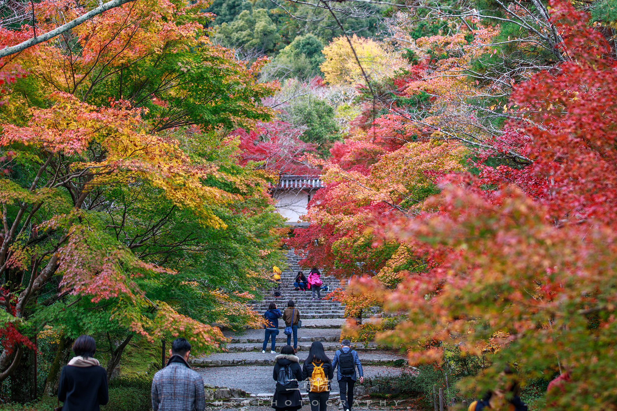 京都自助遊攻略