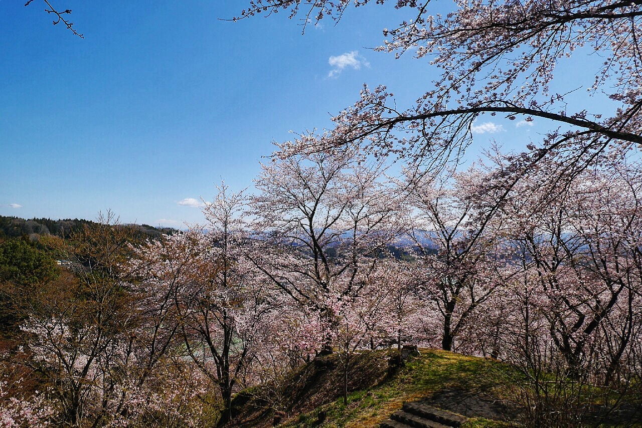 福島市自助遊攻略