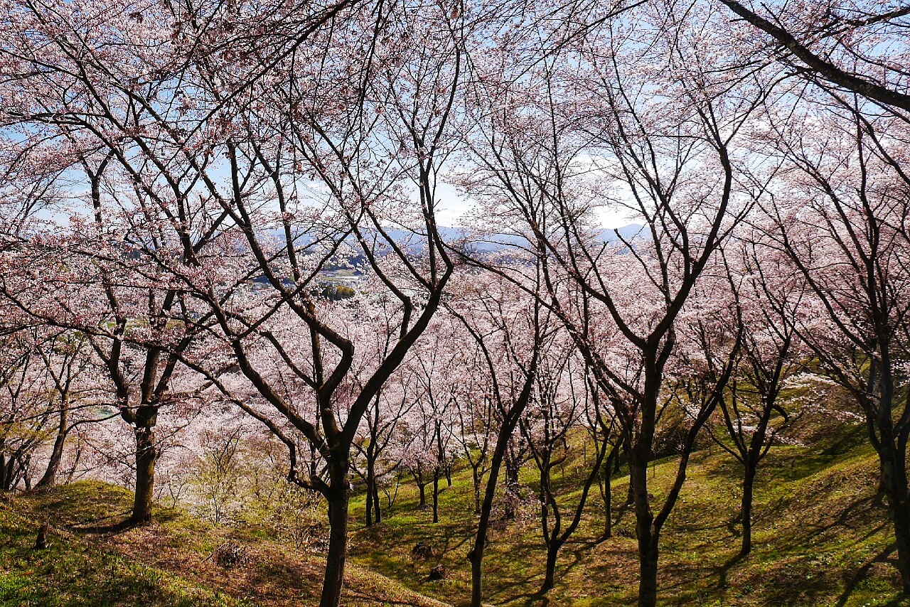 福島市自助遊攻略