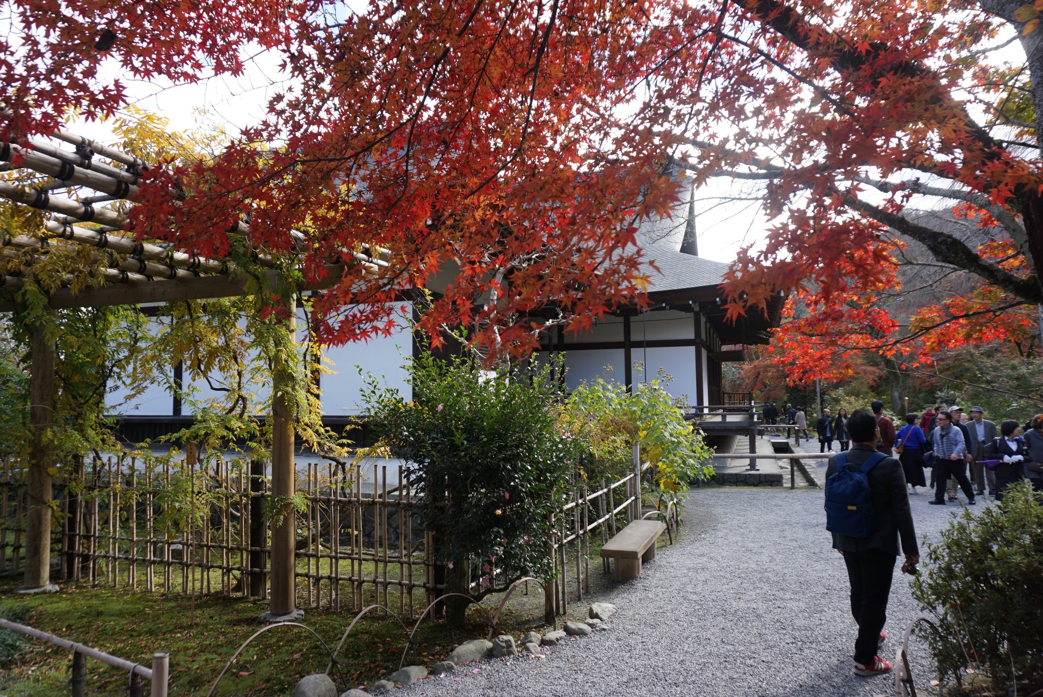 京都自助遊攻略