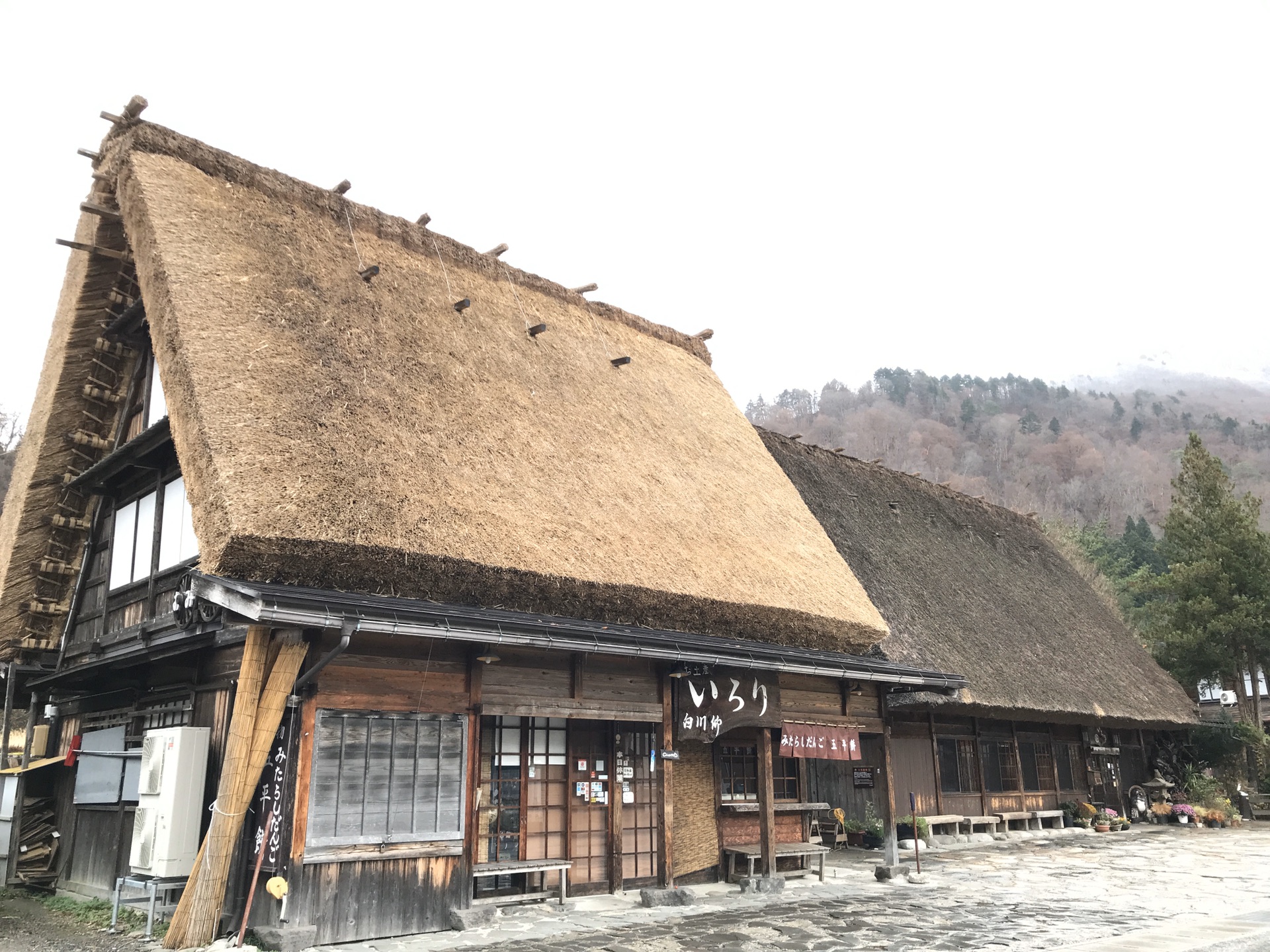 名古屋自助遊攻略