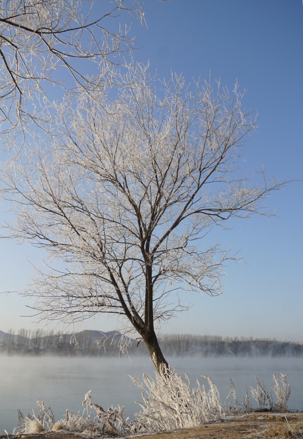 2019.12东北 | 原来雪花这么美
