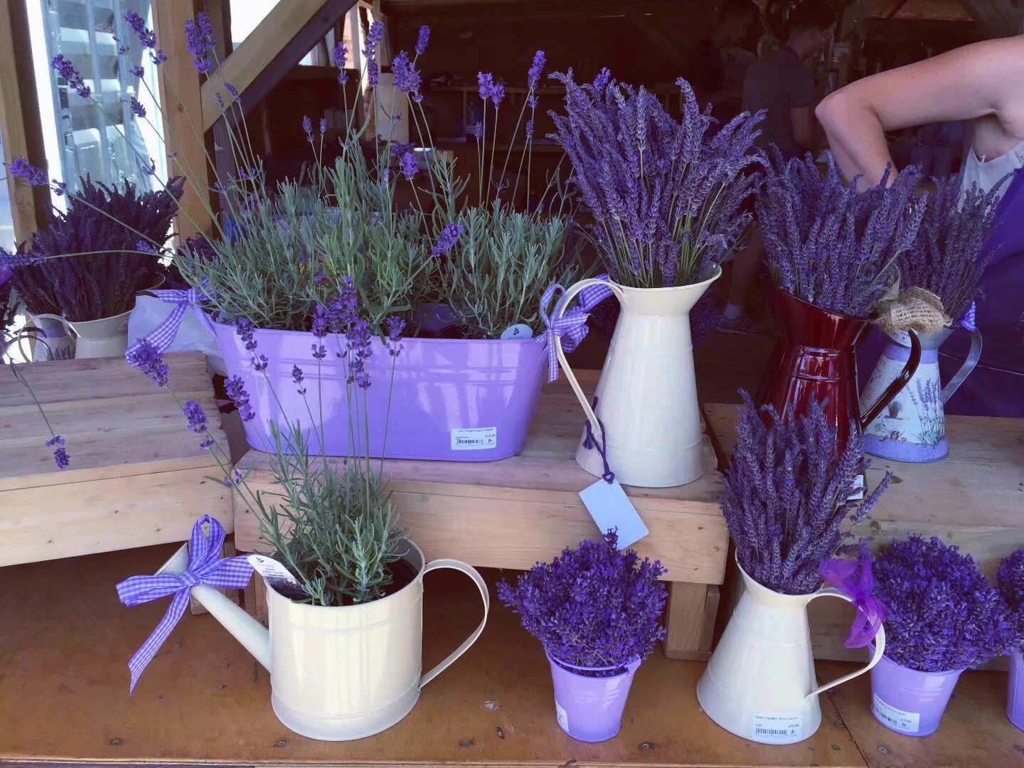 Mayfield Lavender Gift Shop