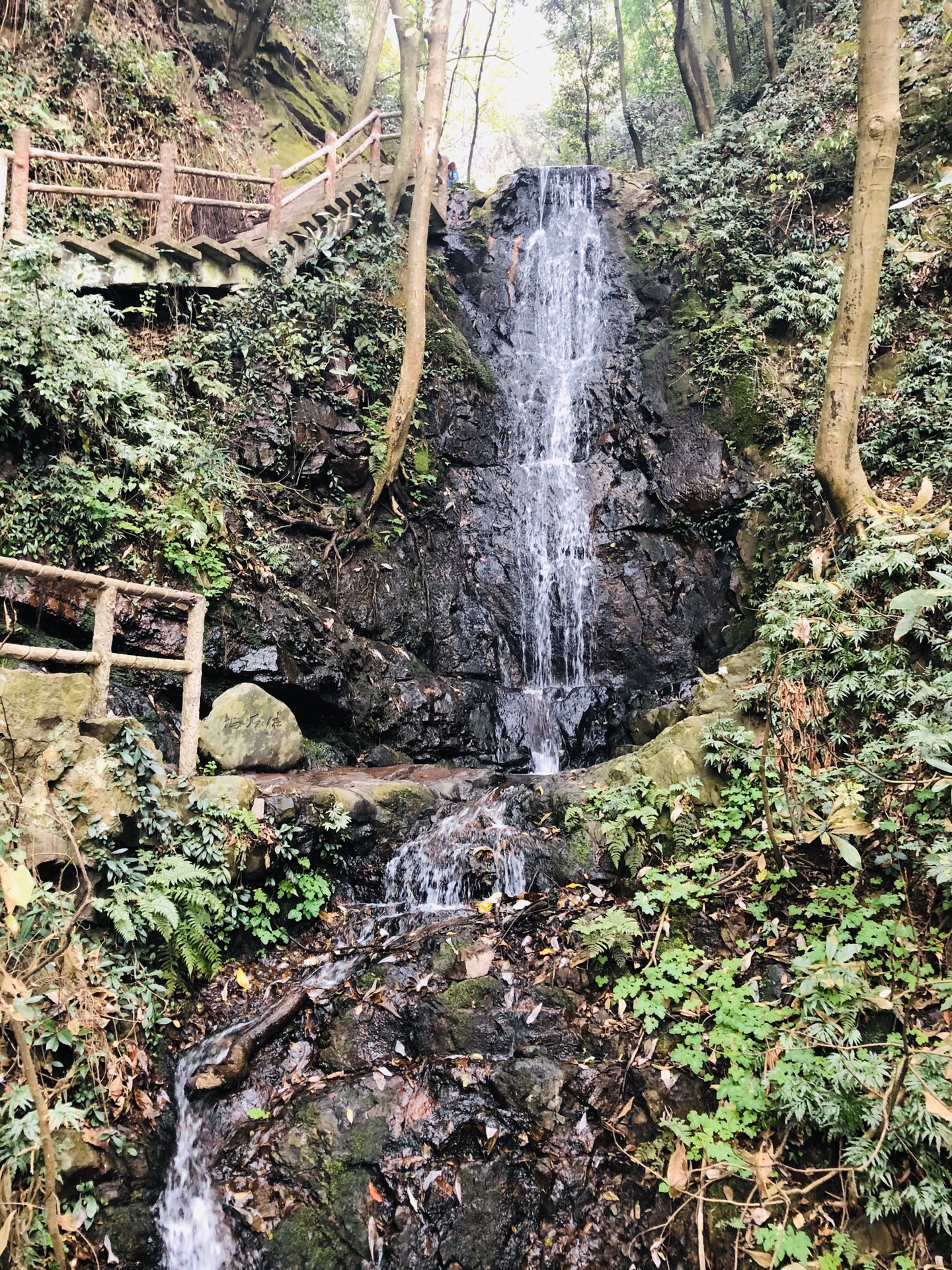 最忆是杭州恍若仙境世外桃源九溪烟树