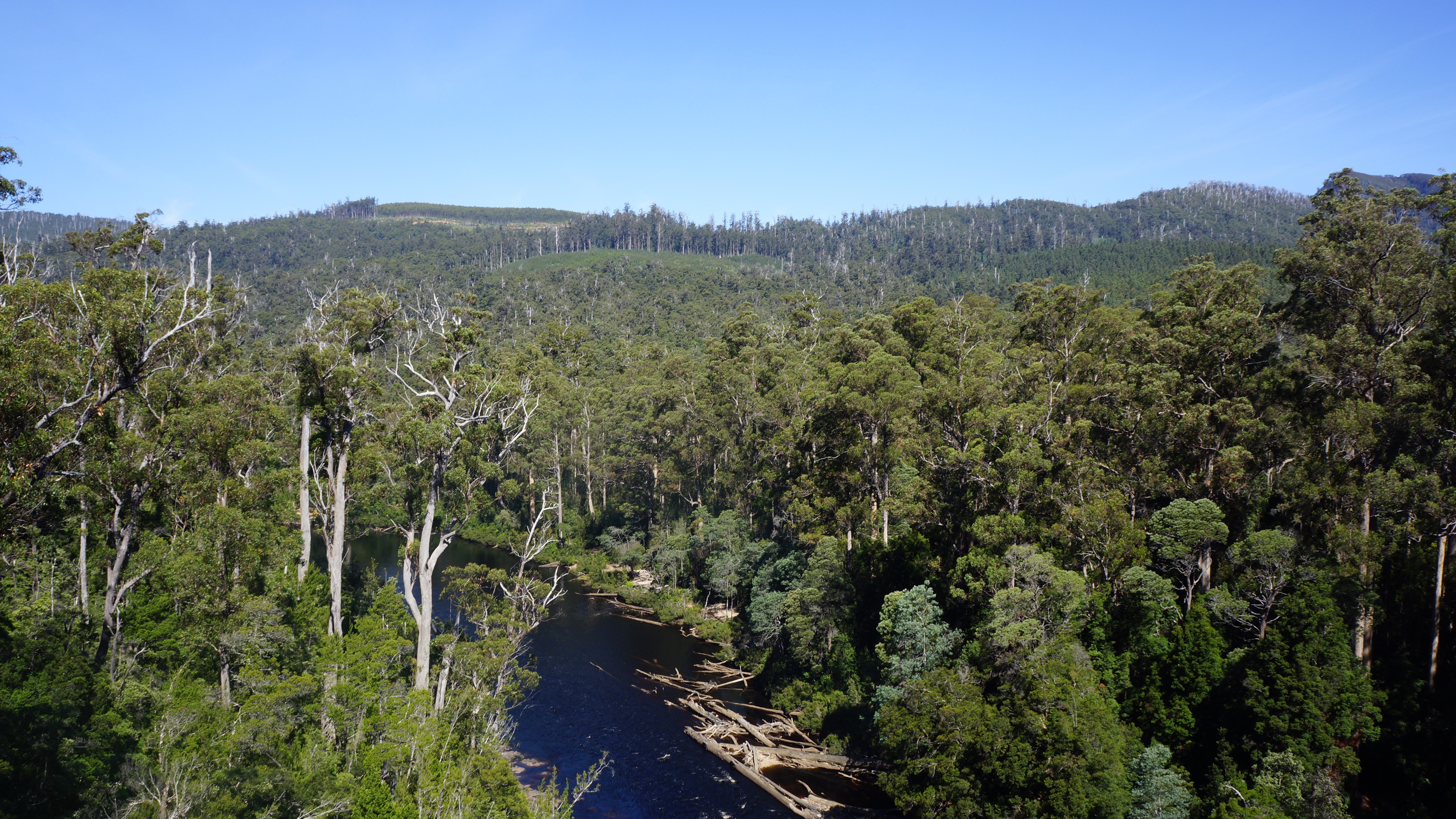 Stewarts Bay