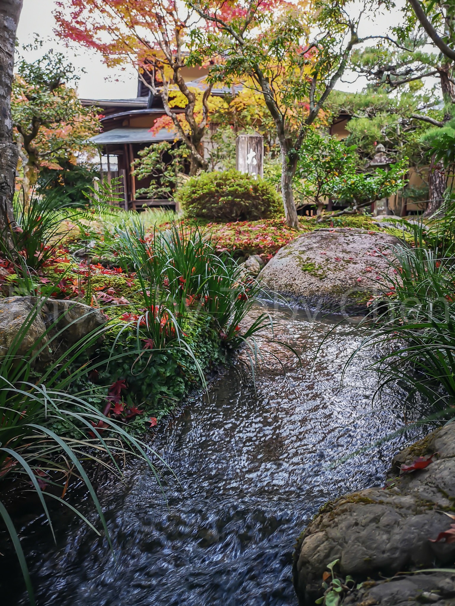 京都自助遊攻略