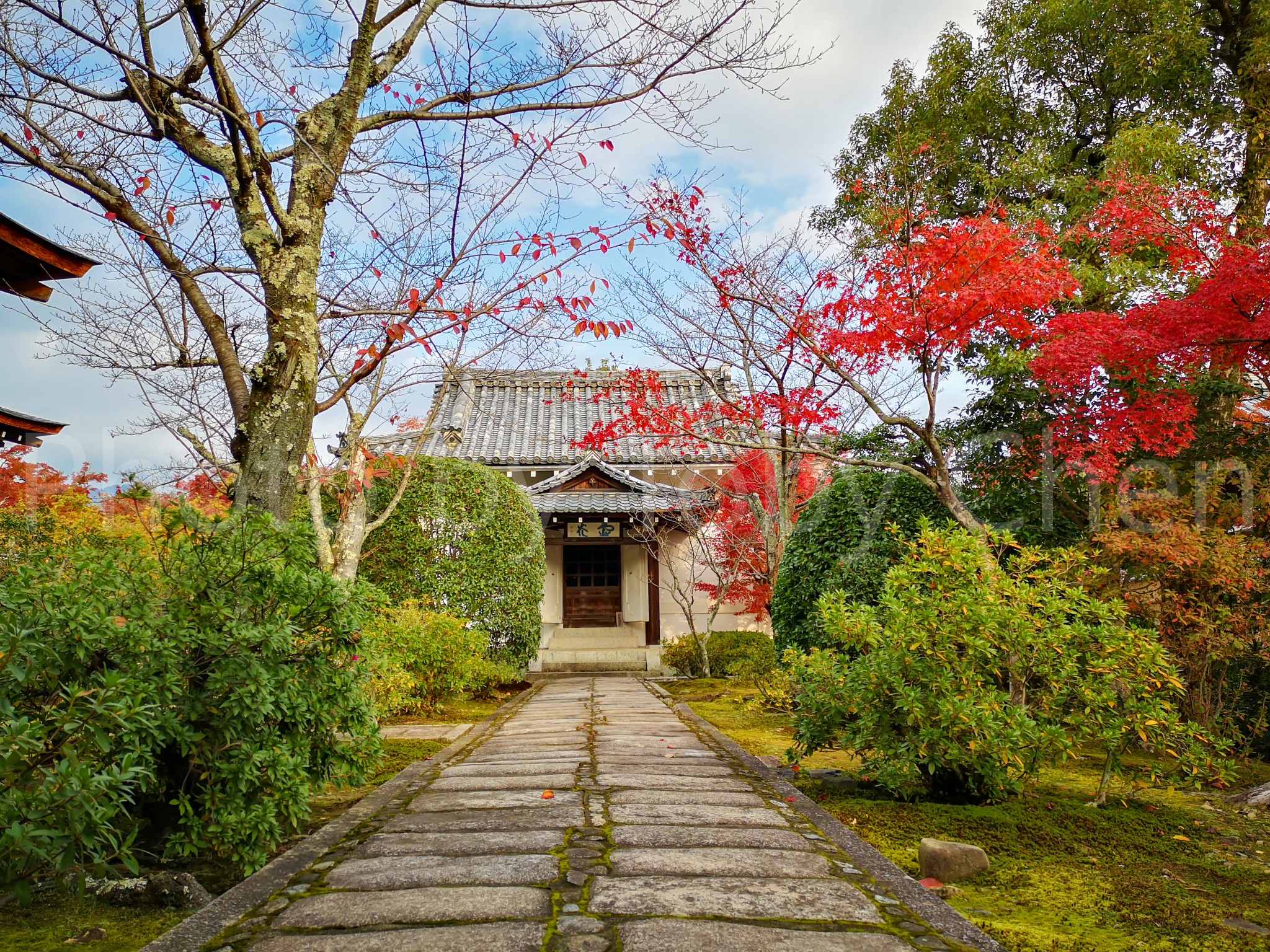 京都自助遊攻略