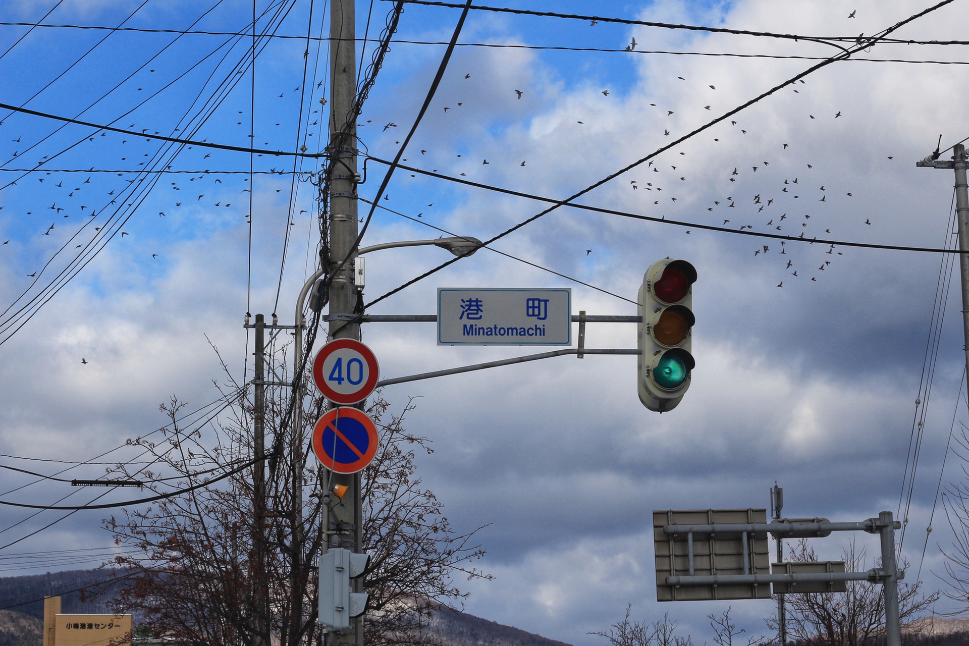 東京自助遊攻略