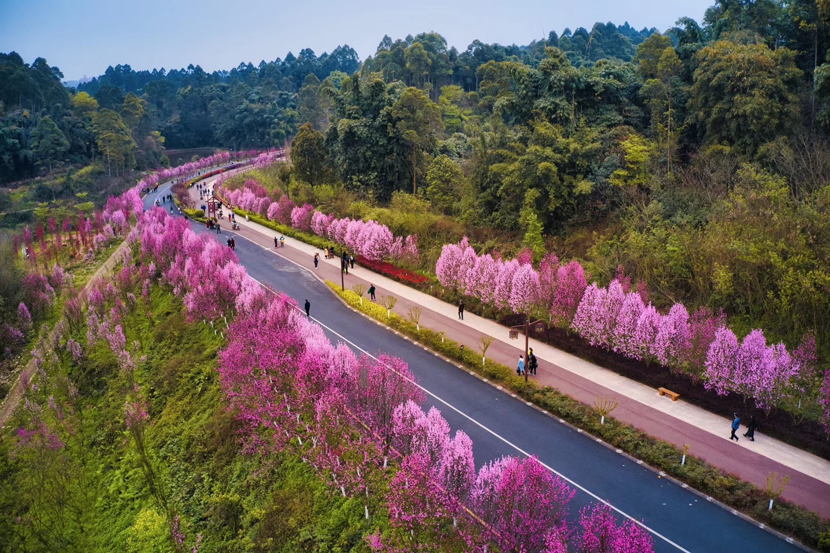 樂山綠心公園攻略,綠心公園門票_地址,綠心公園遊覽攻略 - 馬蜂窩