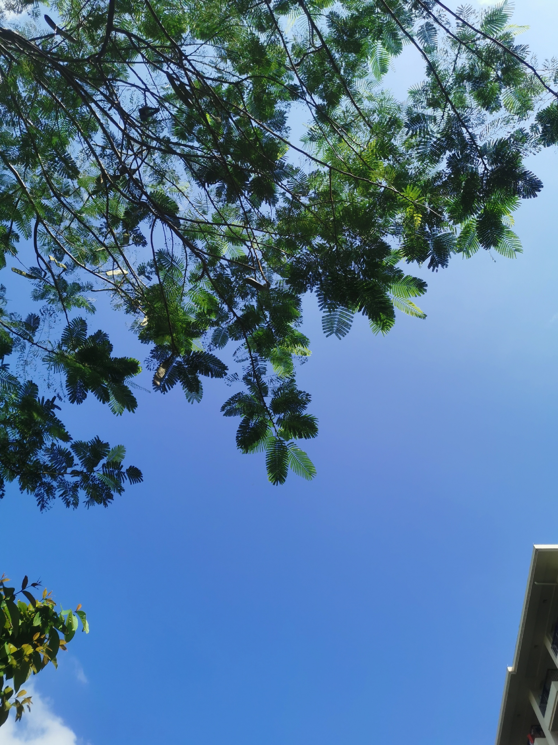 天域酒店冰淇淋屋