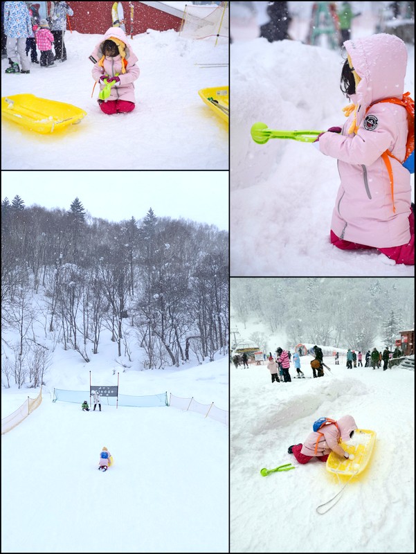 北海道自助遊攻略