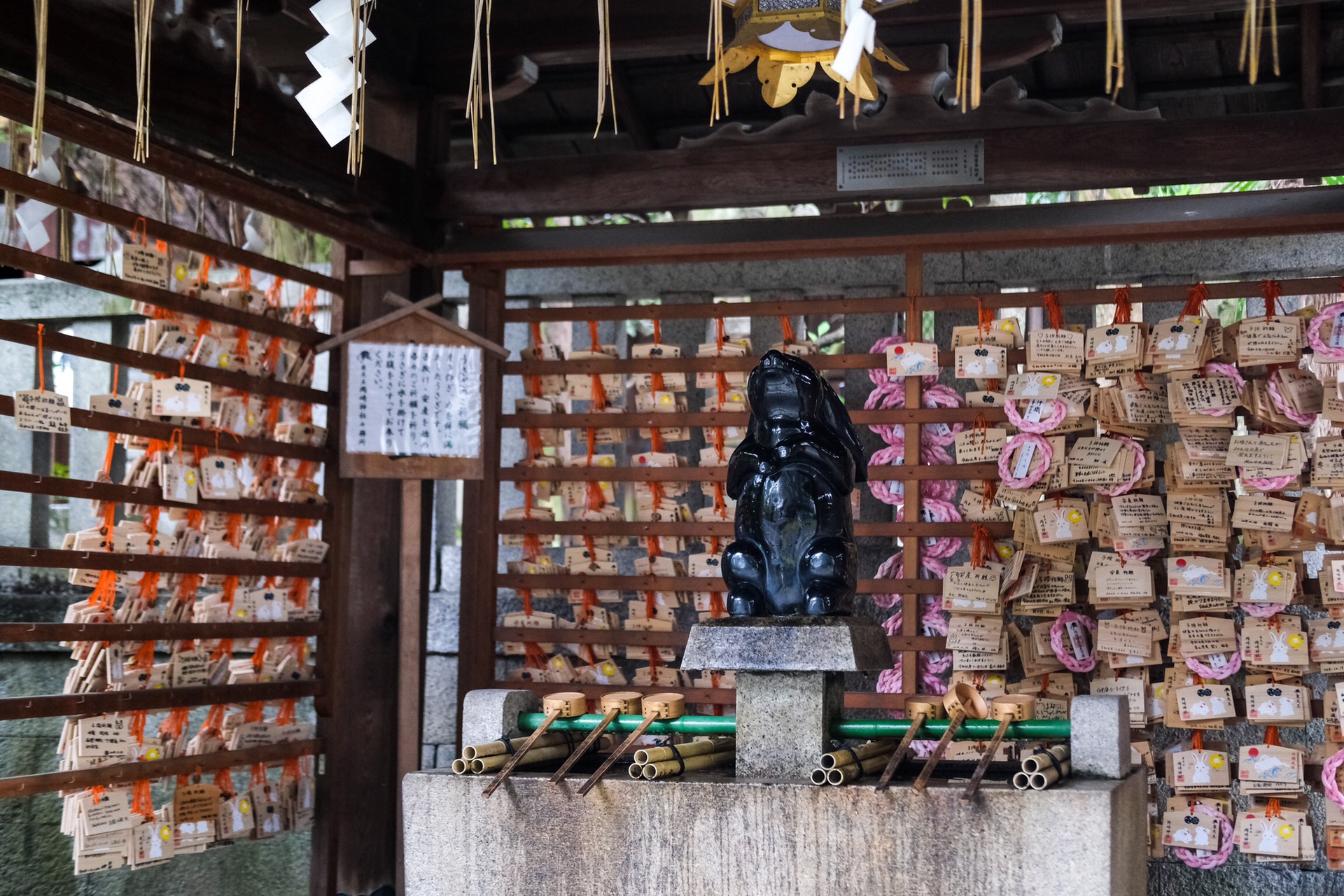 京都自助遊攻略