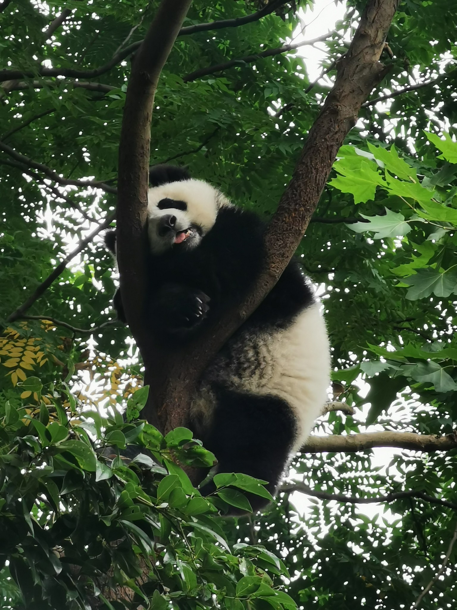 尼泊爾自助遊攻略