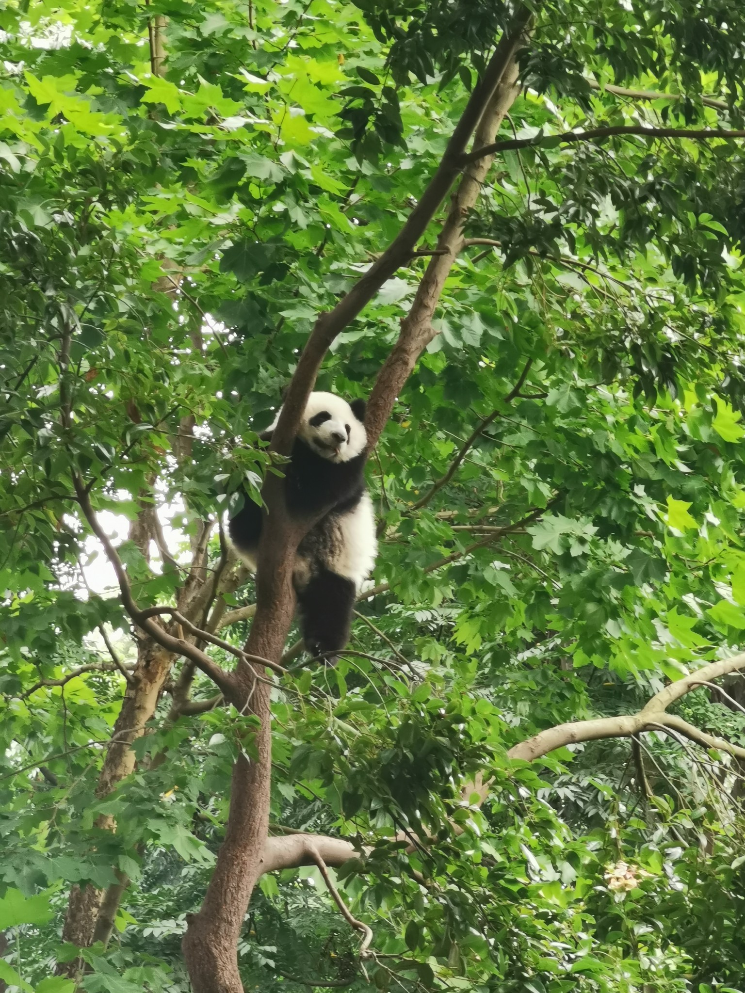 尼泊爾自助遊攻略