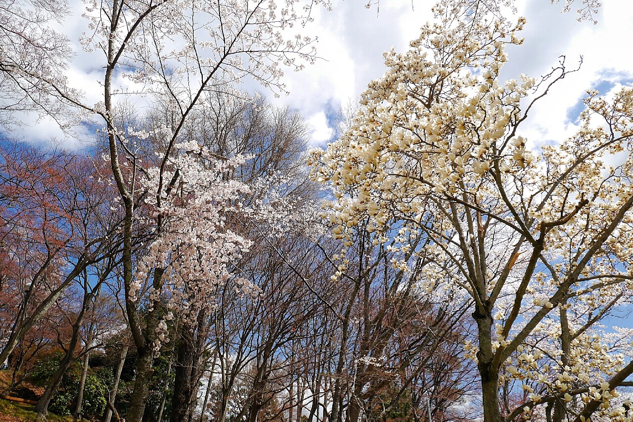 福島市自助遊攻略