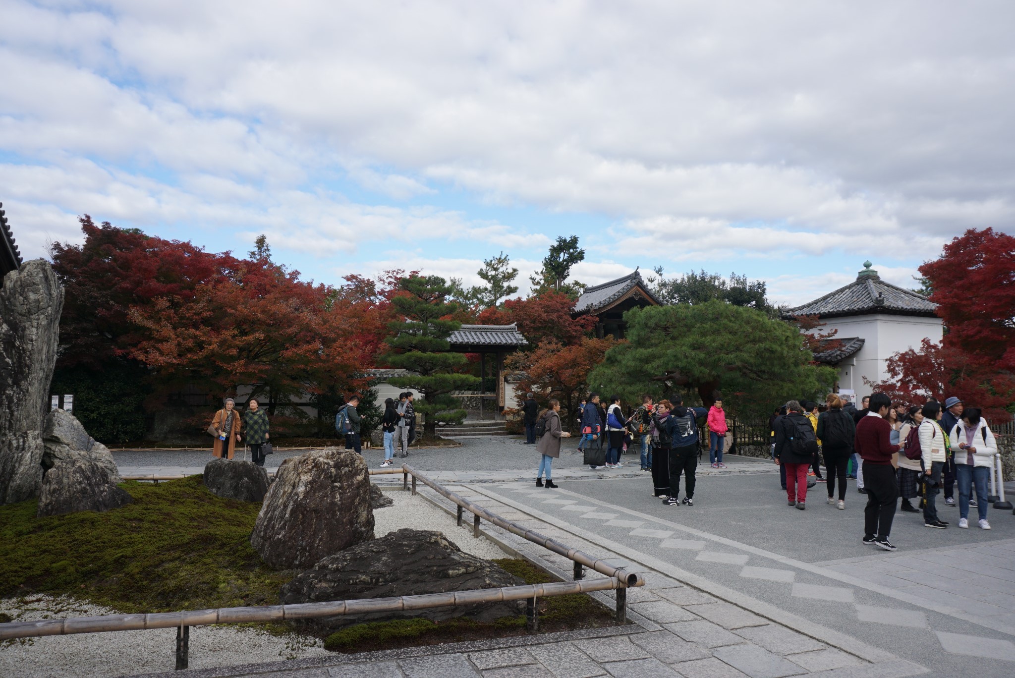 京都自助遊攻略