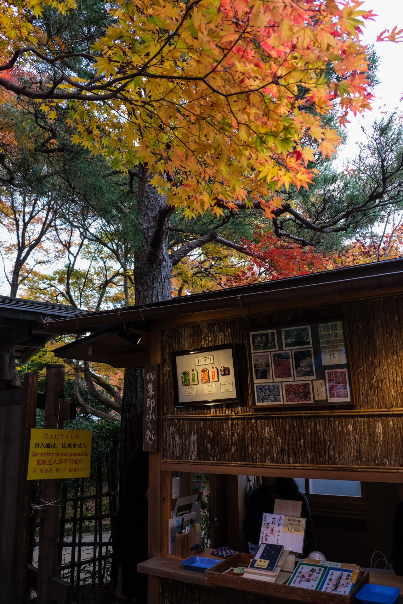 京都自助遊攻略