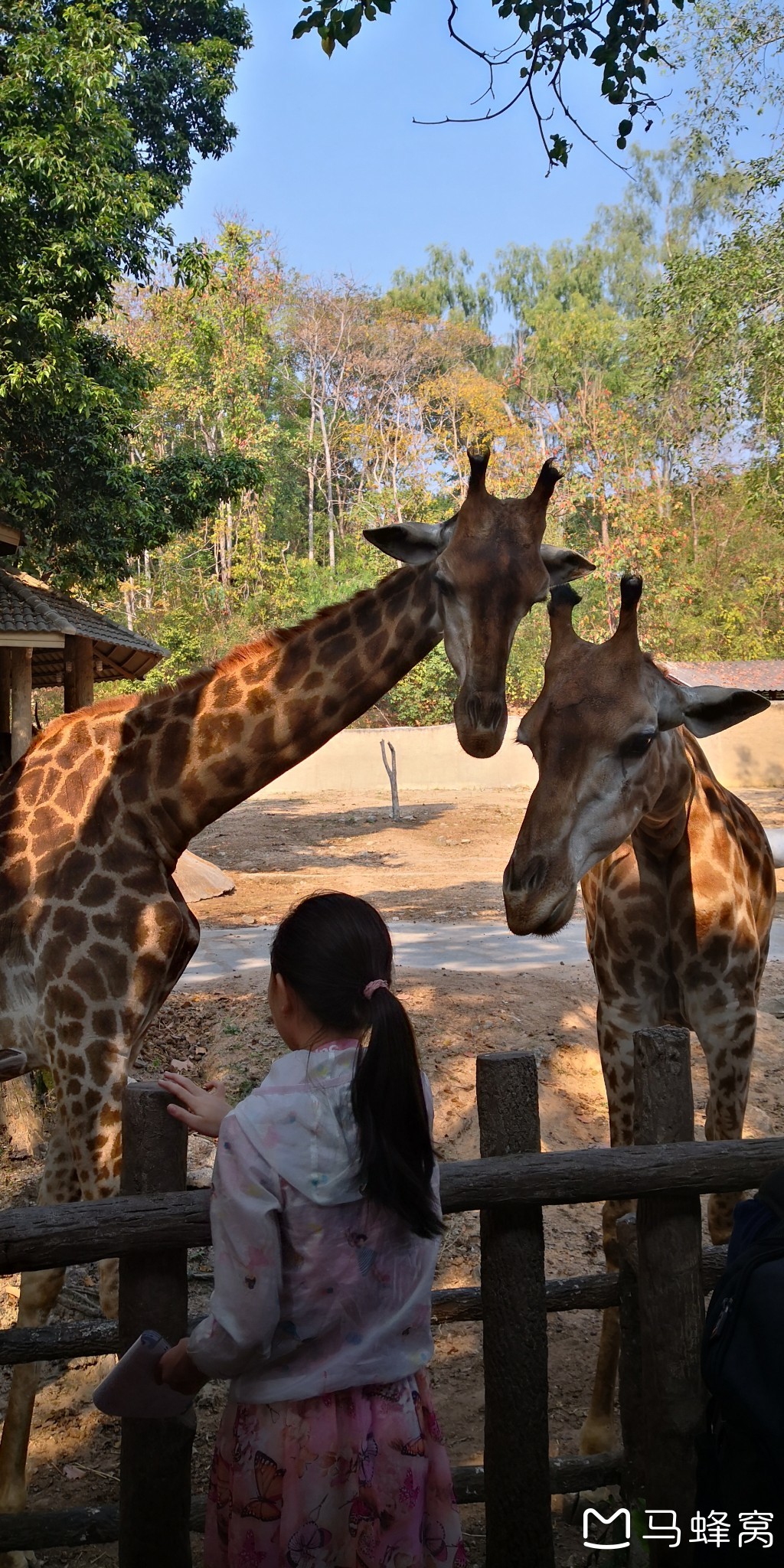 甲米自助遊攻略