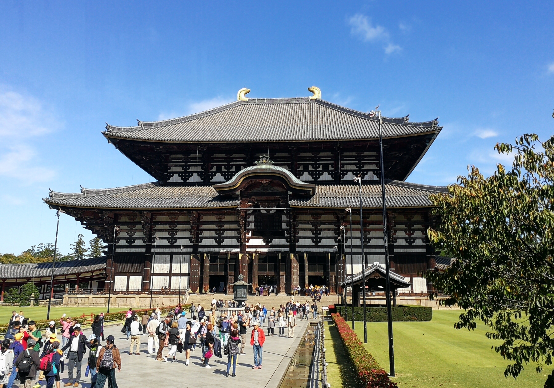 京都自助遊攻略