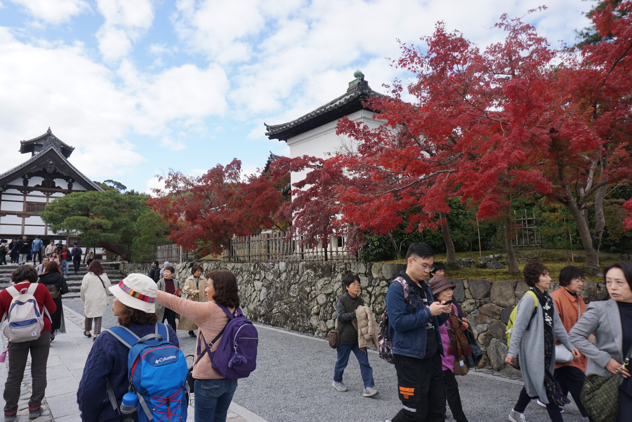 京都自助遊攻略